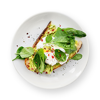 food dish 05.png
